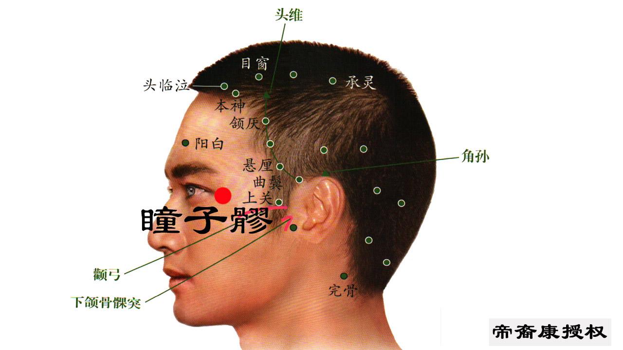 瞳子髎的准确位置图片图片