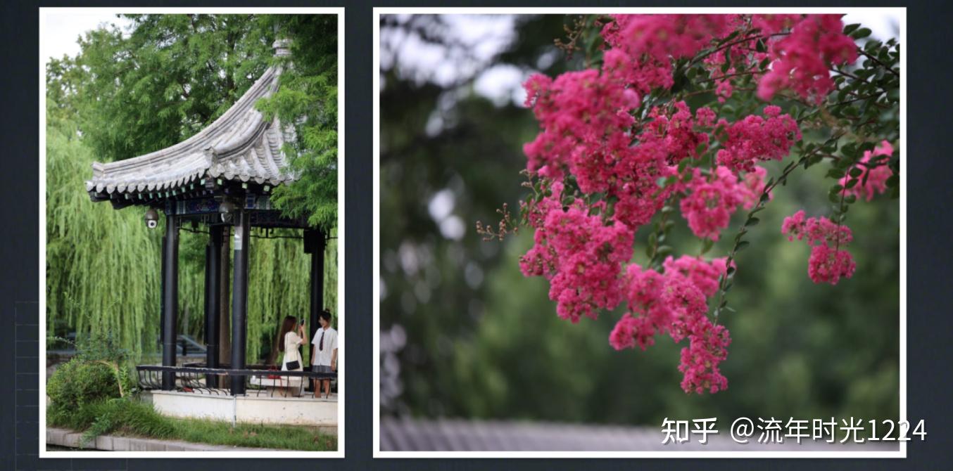 拍摄剪辑系列课程:第一节,拍摄景别。什么是景别?景别有哪些分类和用途? - 知乎
