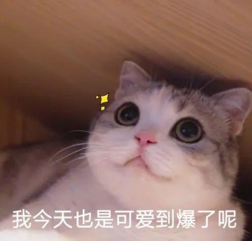 女生撒娇专用表情包,速速收藏! - 知乎