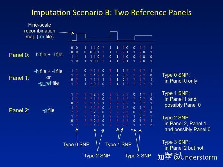 基因型填充(Genotype-Imputation):从原理到操作 - 知乎