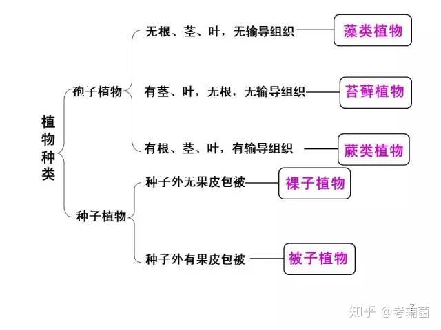 独家梳理|2019中考生物思维导图/易错点总结/专题复习/重要知识点汇总