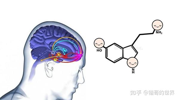 多巴胺的真相:究竟是上瘾快感的罪魁祸首?还是成为天才的秘诀? - 知乎
