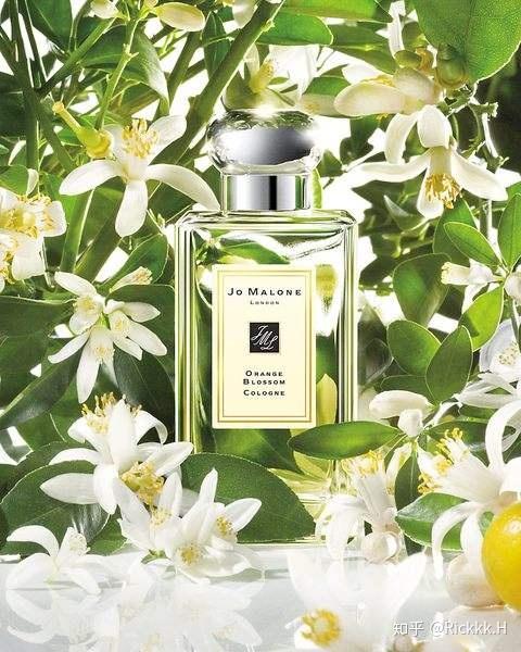 香评 Jo Malone Orange Blossom 祖马龙 橙花 知乎
