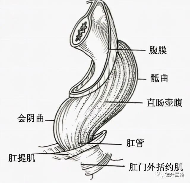 因玩闹用高压气枪喷射同事肛门,导致同事肛门炸裂内脏衰竭死亡!