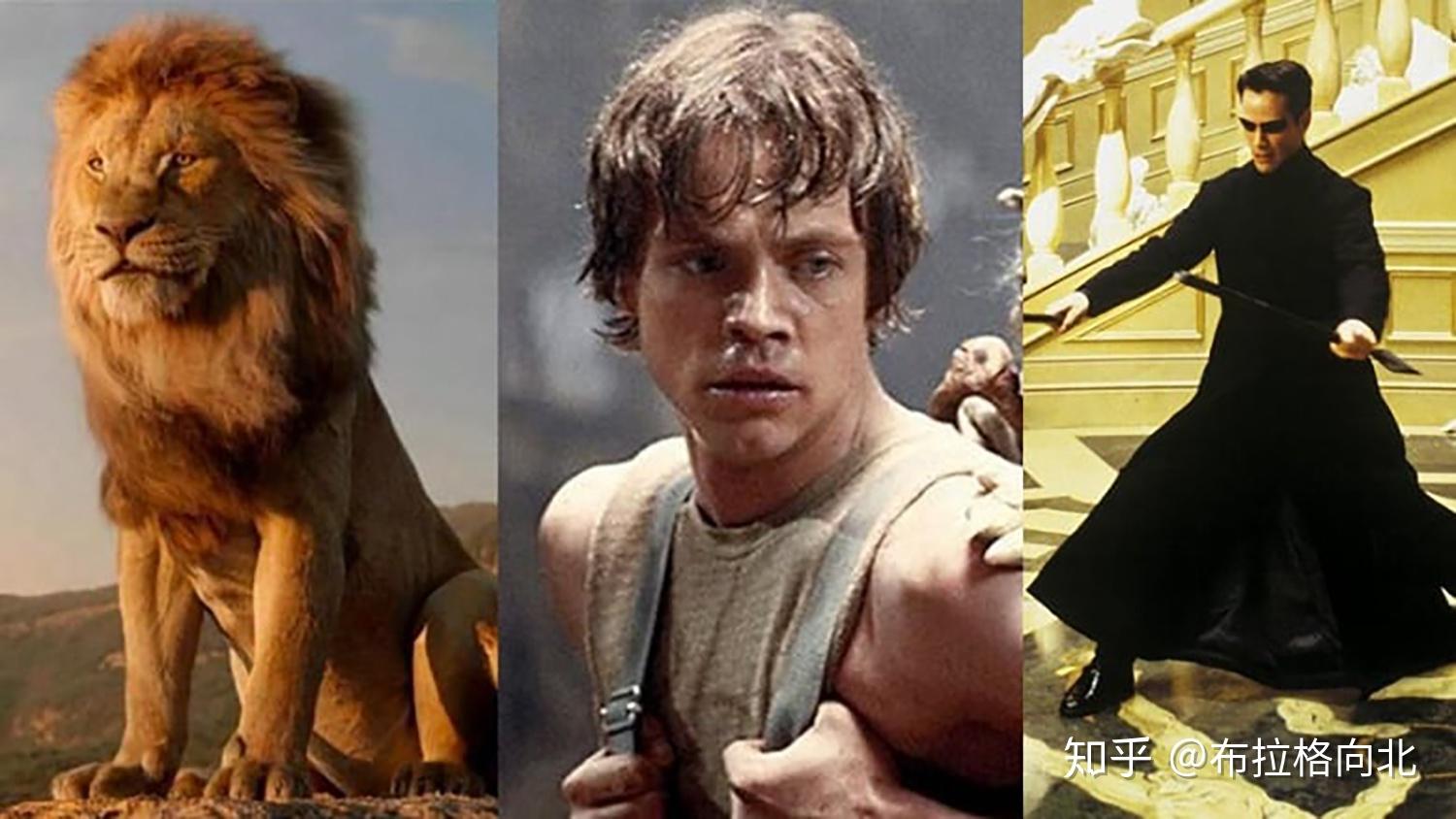 约瑟夫·坎贝尔的神话世界