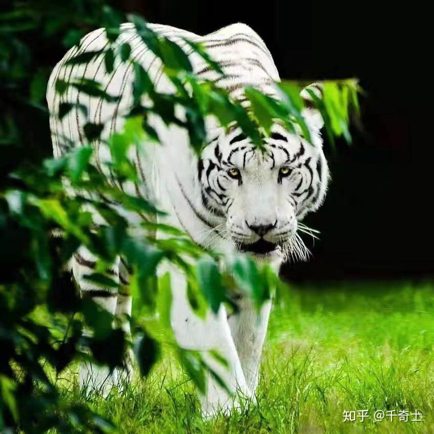 儿女情长,纷纷扰扰,人之常情,难逃此劫;雄心正起,来往古今,千秋万代