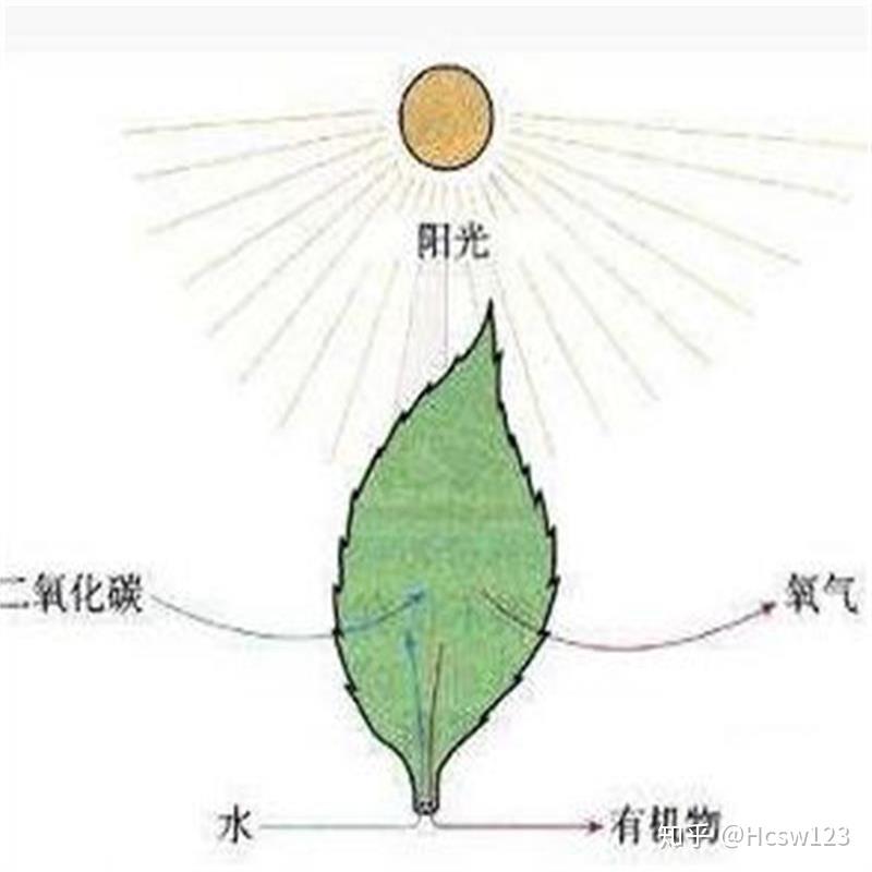 豐夷菌基微量元素生物炭肥料太牛b不服不行