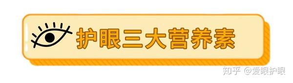 护眼必需三大营养素 得靠食物才能补 知乎