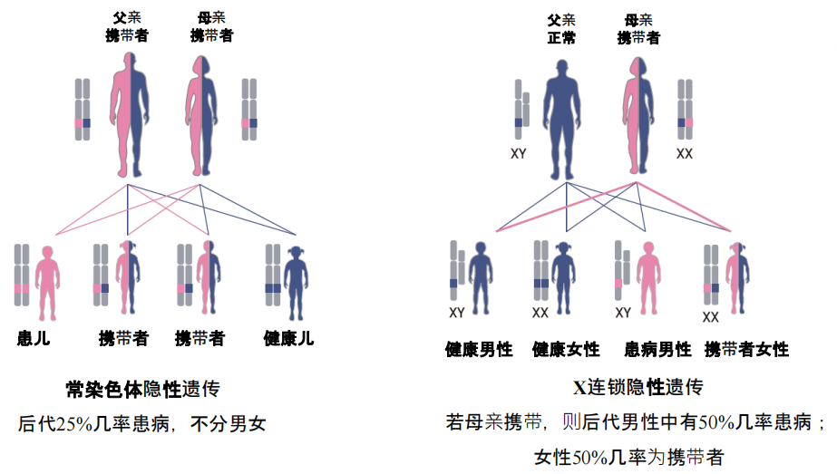 守护新生|关注单基因遗传病,早期预防出生缺陷 - 知乎
