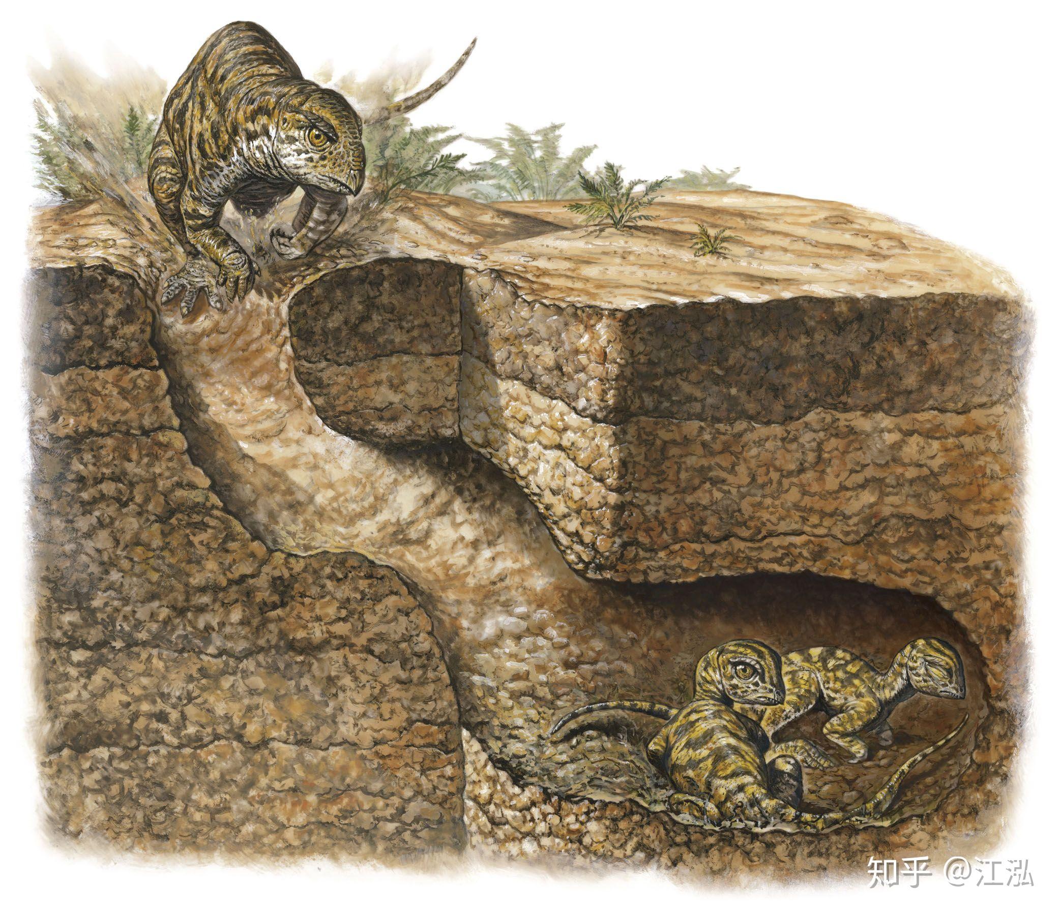 “欧洲最大的陆地食肉动物”：1.25 亿年前巨大的“鳄鱼脸”恐龙被发现 - 神秘的地球 科学|自然|地理|探索
