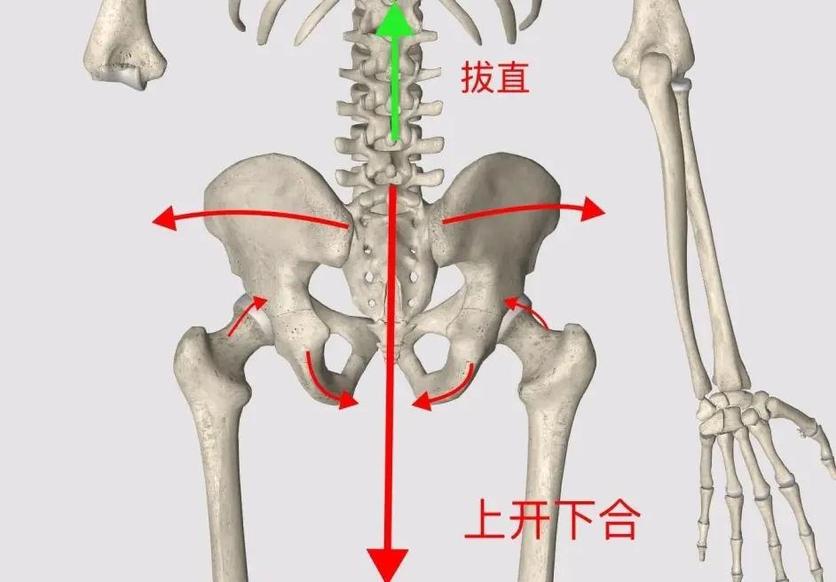 什么是开胯?我来告诉你! - 知乎