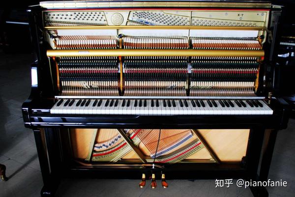 电钢琴和键盘的区别