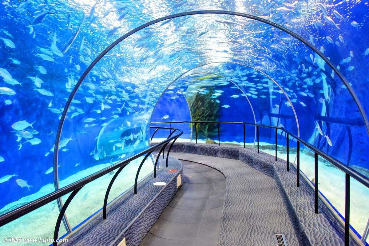 上海海洋水族館