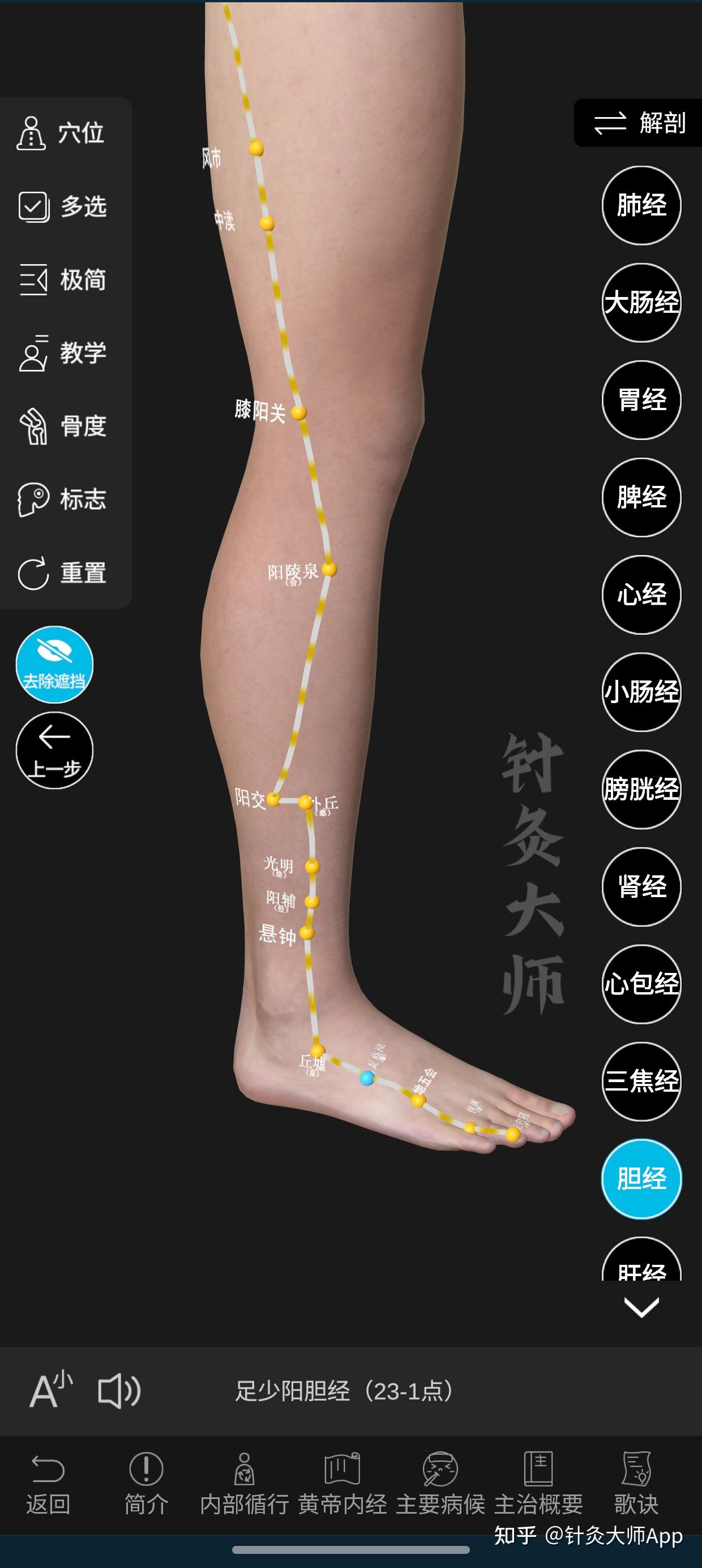 精准取穴技巧 | 在家轻松搞定腿部经络穴位！ - 知乎