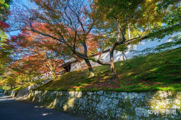 10 京都 曼殊院 一 知乎