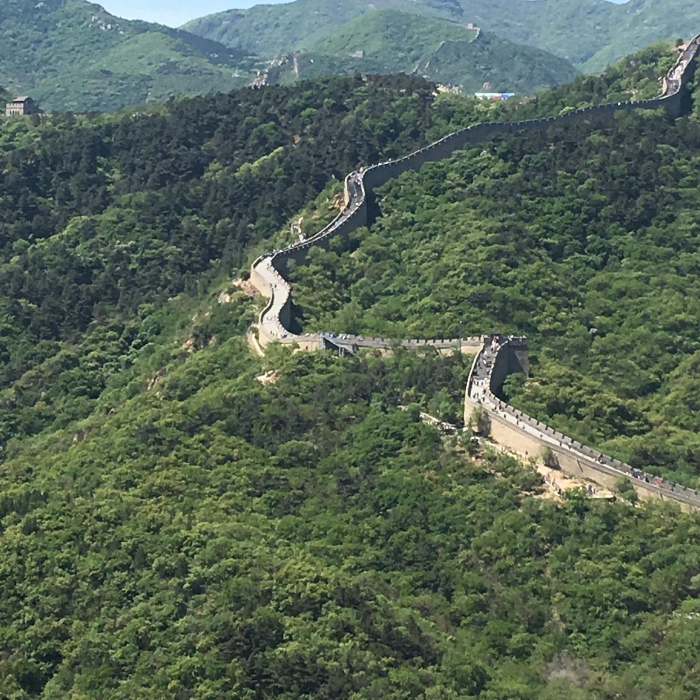 阿白