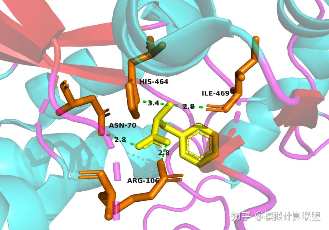 分子动力学||Pymol开源版实操基础教程(分子结构可视化) - 知乎
