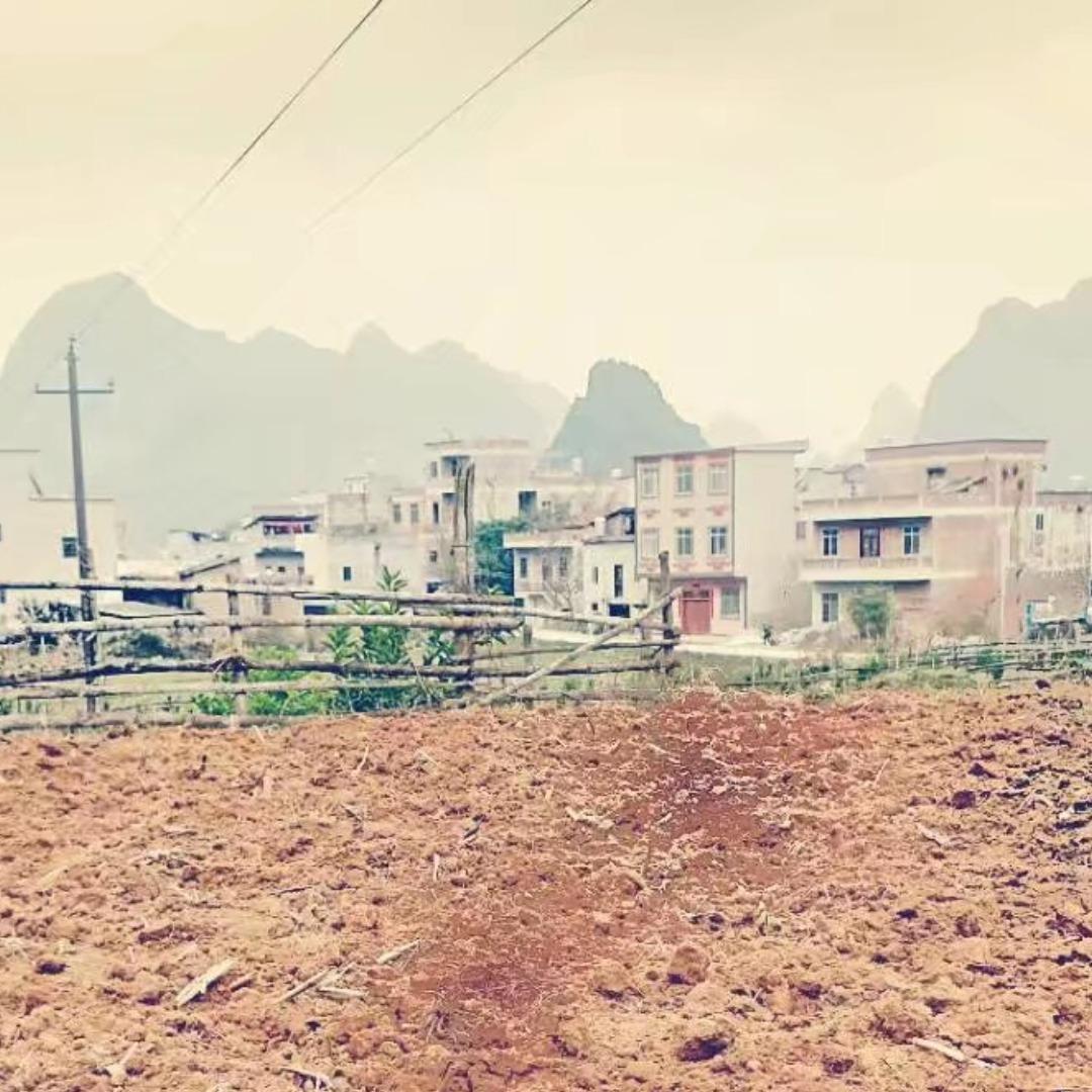 七月骄阳红似火