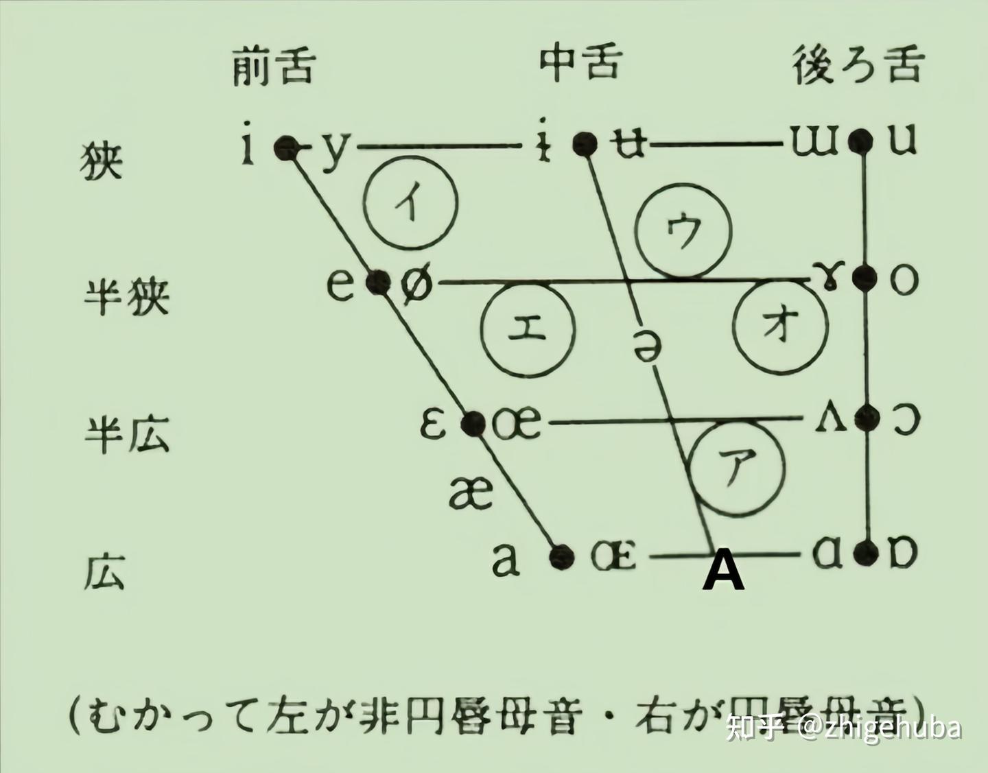 日语学习(02)日本语的发音之元音 - 知乎