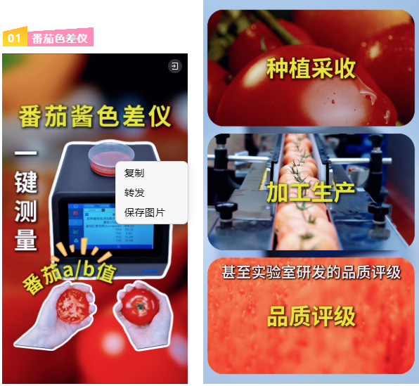 新品推荐 | 三恩时PS808CT分光色差仪:番茄颜色测量和分级的优选设备