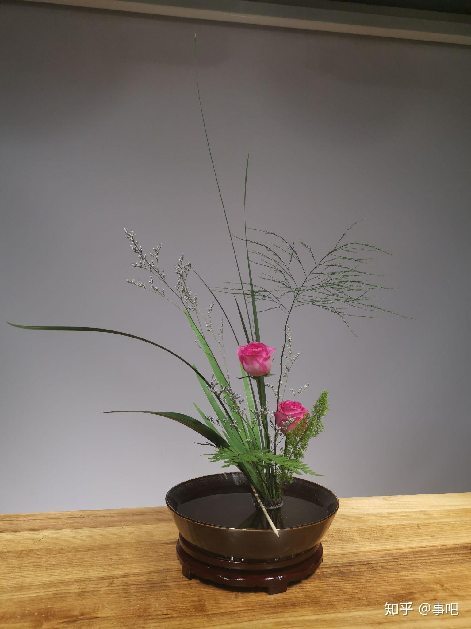 插花-第六节 盆花 直立 静态 草本