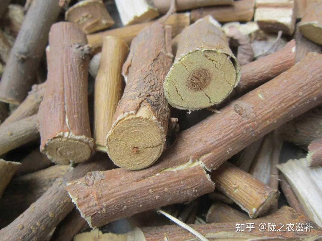 42、桑白皮 传统鉴别方法(附 桑叶、 桑枝、 桑椹) - 知乎