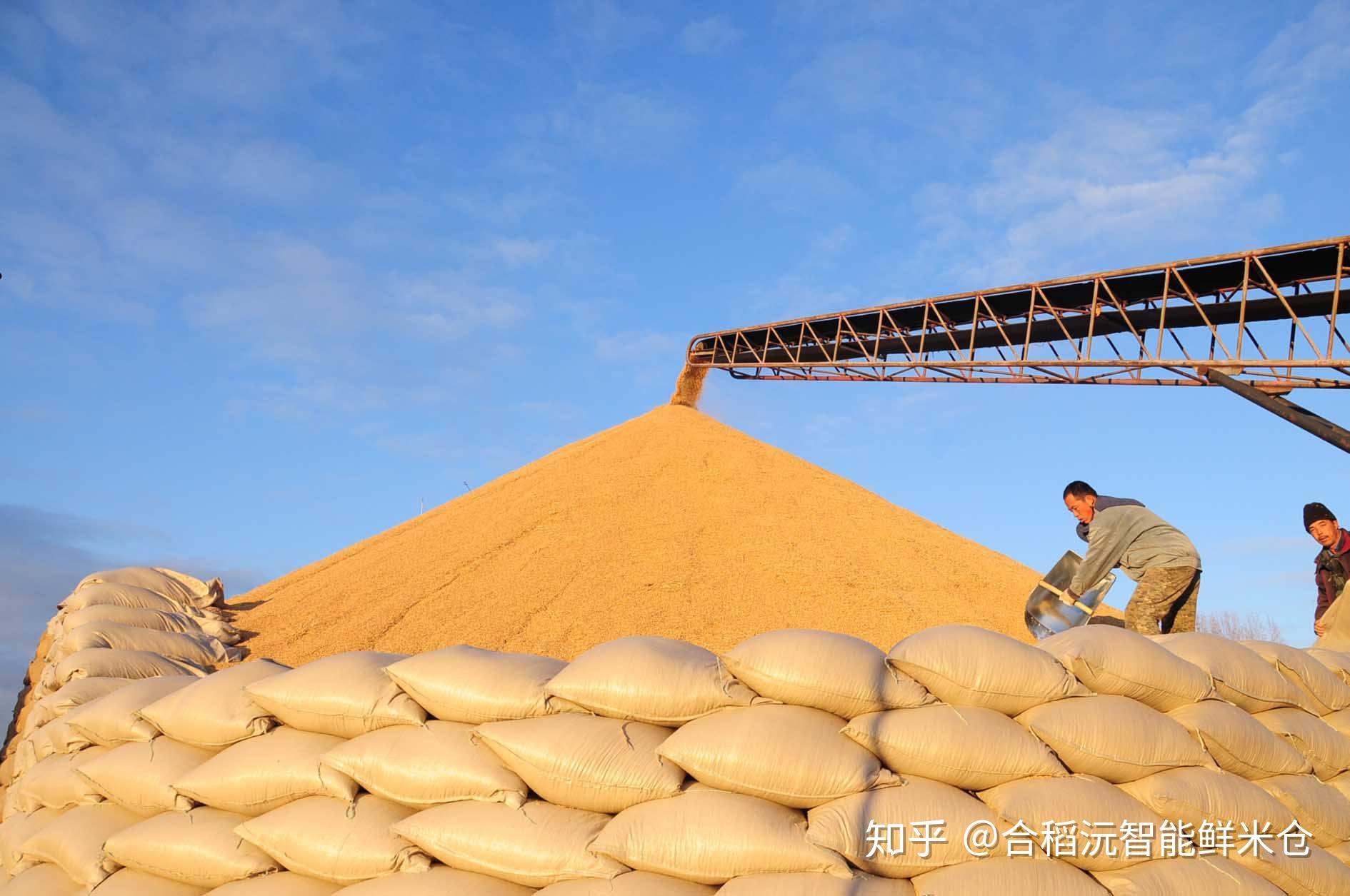 我国粮食物流的特点及现状 - 知乎