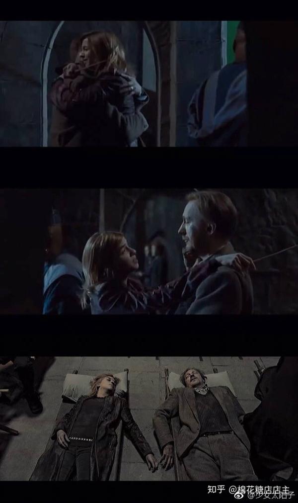 一些关于卢平和唐克斯的小细节