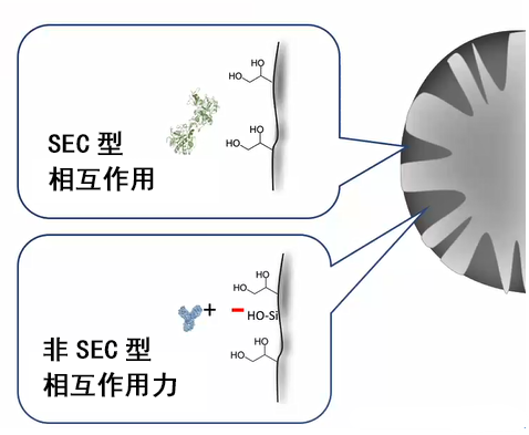 【飞诺美色谱】SEC分析神器Biozen dSEC—蛋白or多肽or寡核苷酸都能做 - 知乎