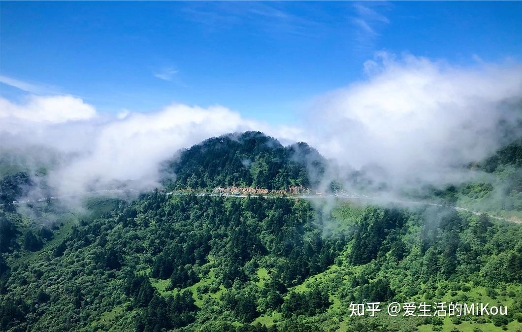 神农架景区旅行——请看什么叫最详细的攻略 - 知乎
