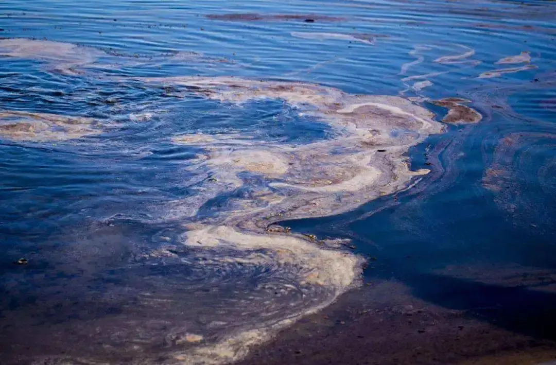 其中石油类是地表水必测项目之一,国内不少地区环监部门对工业废水