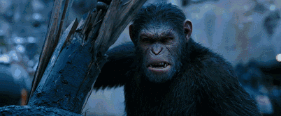 《猩球崛起3》:人猿大战燃到高潮,但结局神转折