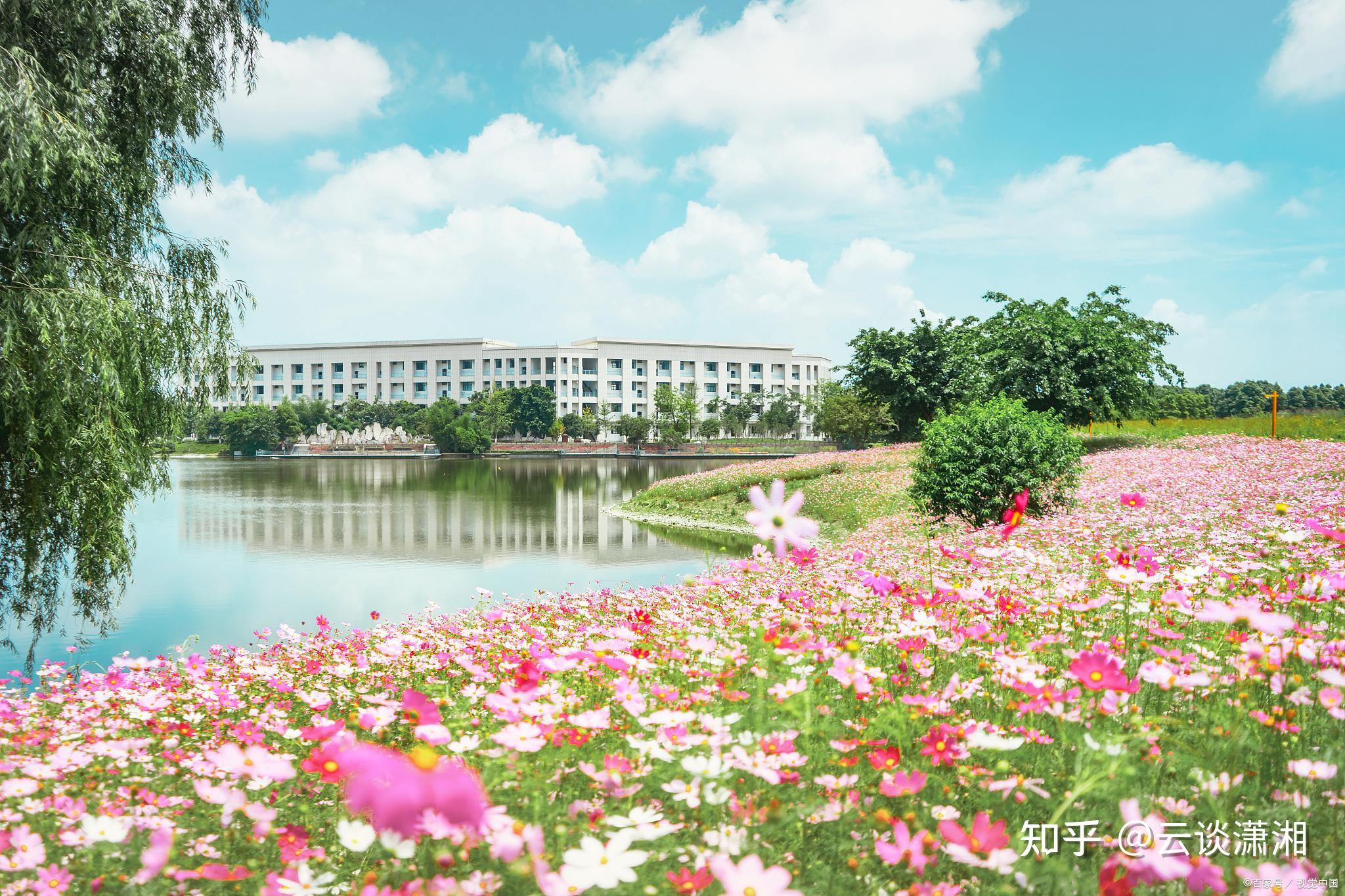 2022湖南省大学生工业设计竞赛一等奖数前三名：湖南科技大学，中南大学，湖南大学 - 知乎