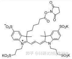 Af555 Spectrum AlexaFluor555 活化酯,AF555 SE,可以用于制备荧光探针 - 知乎
