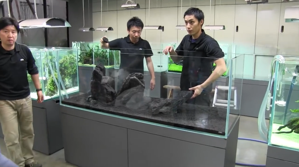 山水石单侧放射状造景缸 站在珠峰下眺会是毕生所愿 知乎