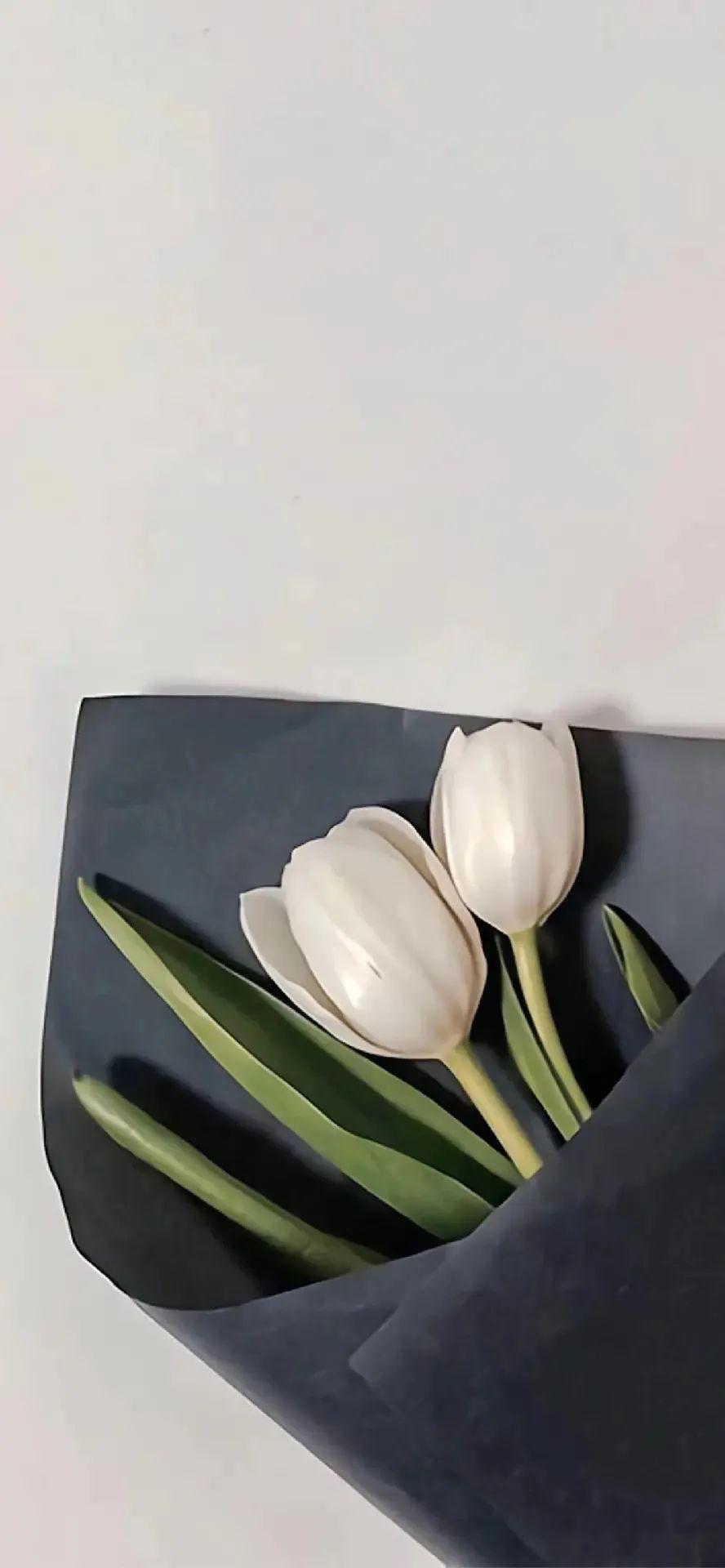 tip:有些壁纸图片也可以用作锁屏壁纸,聊天背景图,头像,朋友圈背景图.