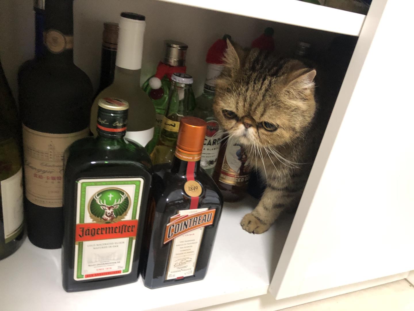 v2-b31446268efc827f8b99dafc71fc1951_1440w.jpg?source=172ae18b