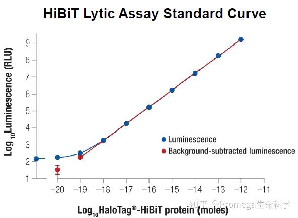 Hibit Detect 突破表位标签局限 | Anti-HiBiT抗体解锁低丰度内源蛋白检测新方案 - 知乎