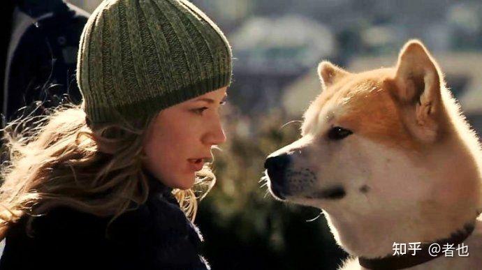 忠犬八公的故事