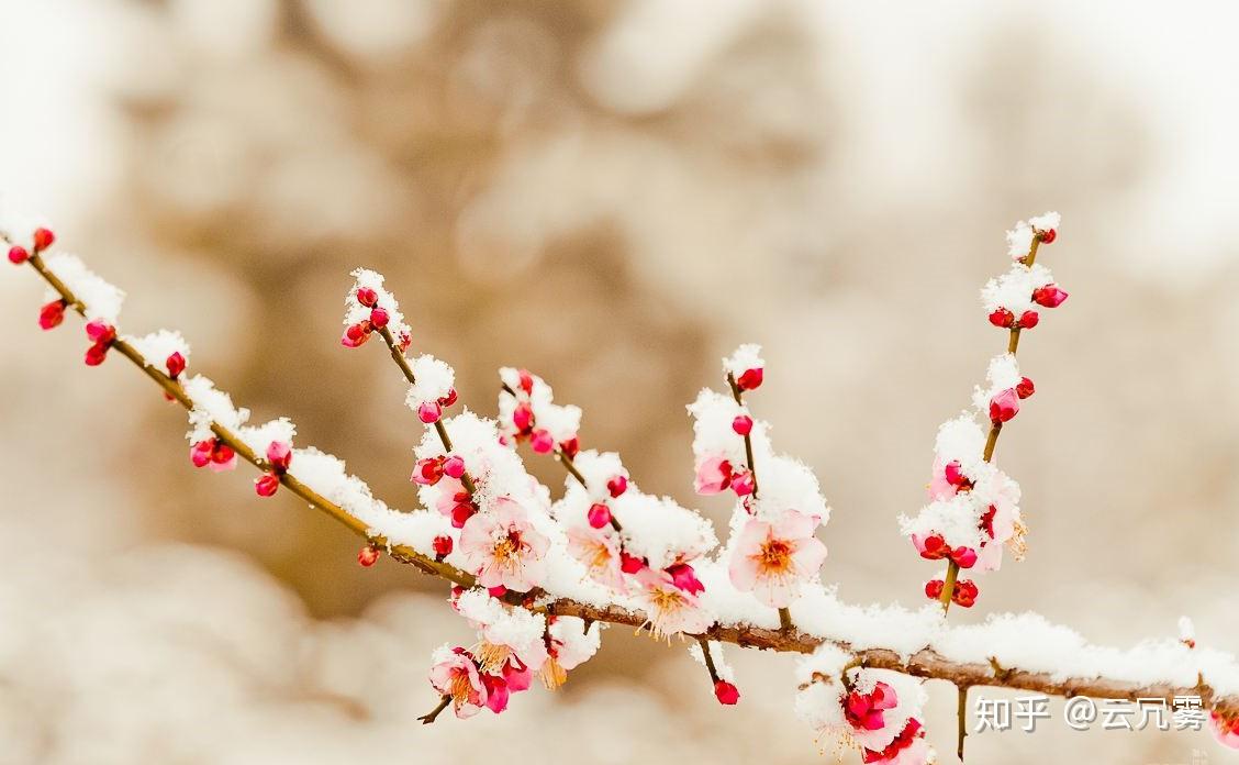 这句出自当代诗人高适的《除夜作》.