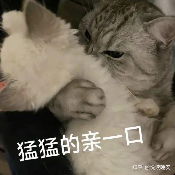 这组表情包过于好用了 - 知乎