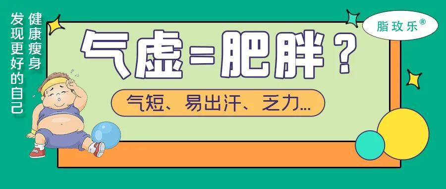 气虚型肥胖怎么调理这样吃这样做变瘦更加容易