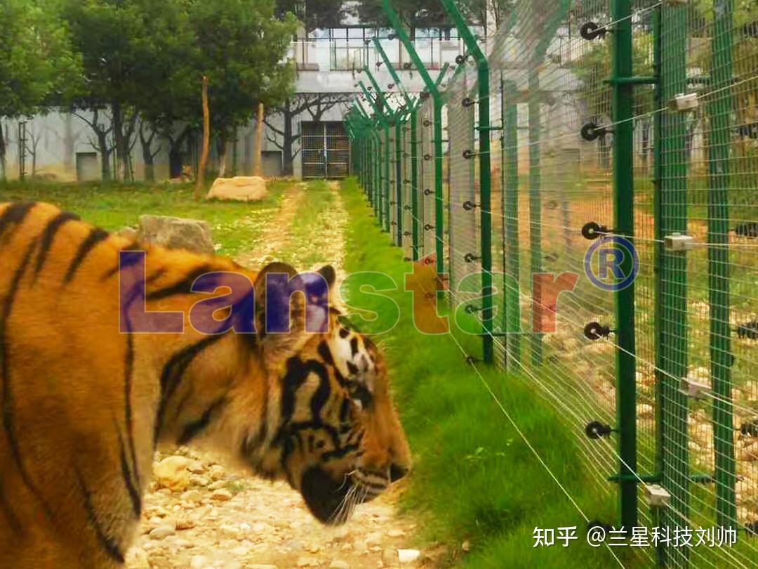 兰星科技畜牧电子围栏小电压如何筑起大防护一文说透