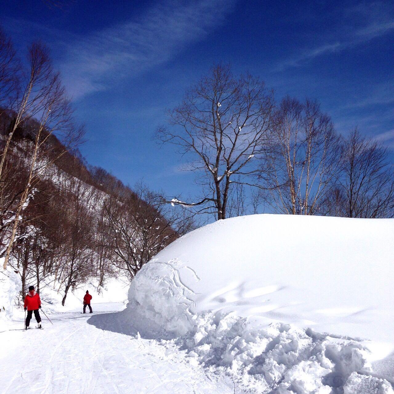 相比中国的滑雪场,日本的滑雪场怎么样?值得一