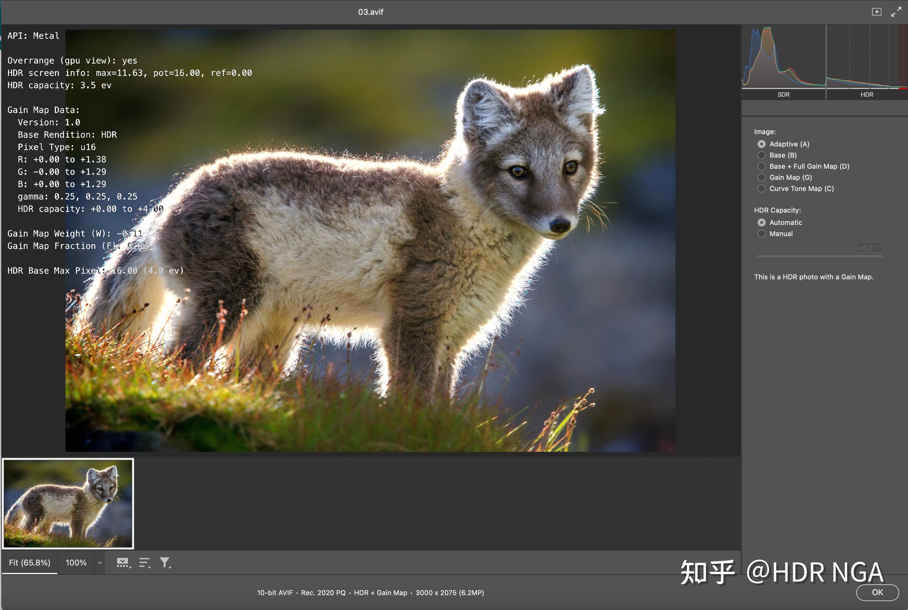 ArcSoft Photo+ for mac(图片查看器) v3.0.10138中文版 - 知乎
