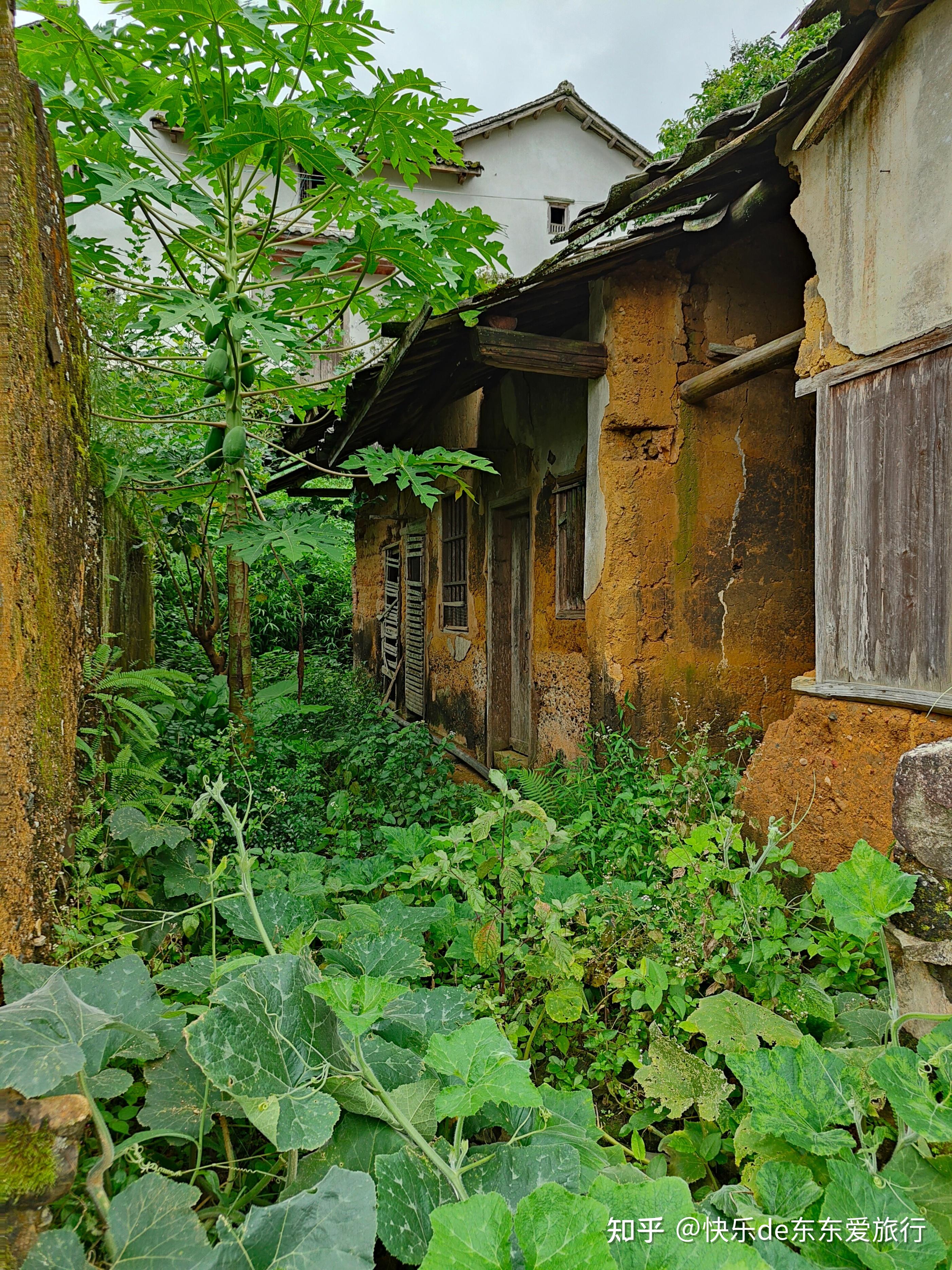 徜徉于云雾缭绕的小山村