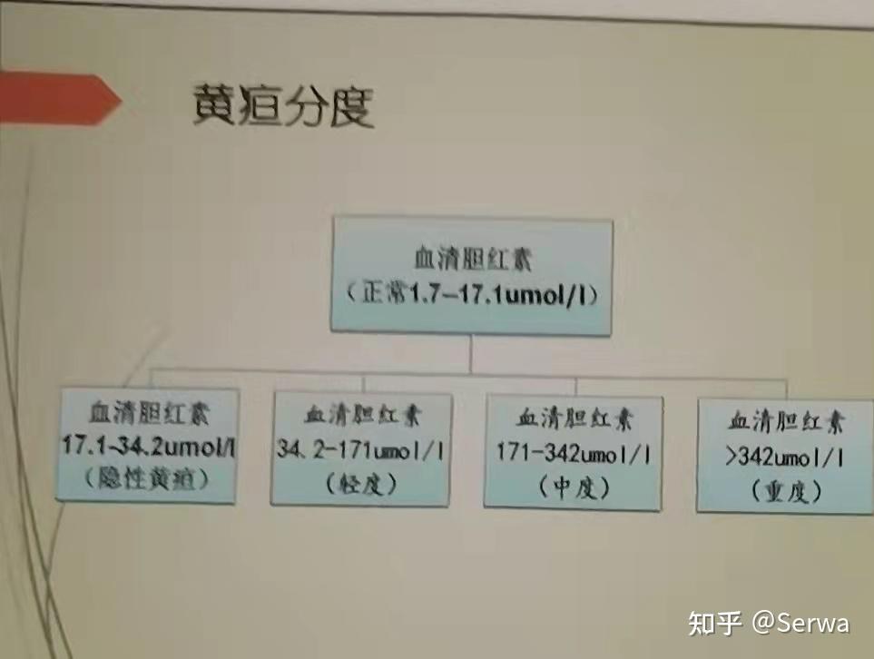 黄疸多少算正常图片