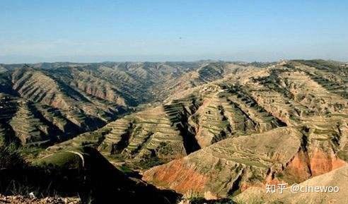 talk 对话 | 曾建贵:河州是我的土壤 - 知乎