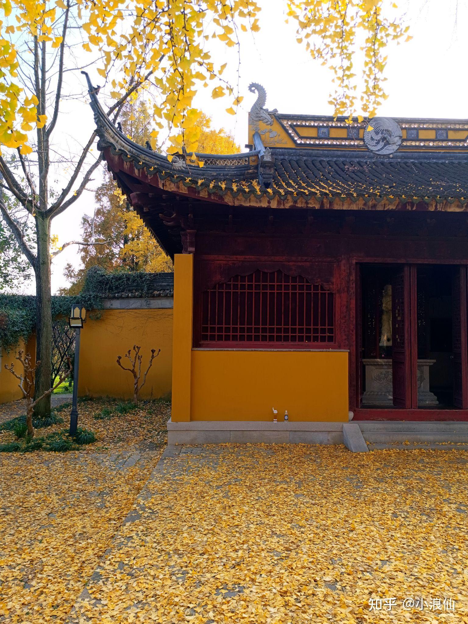 江南图鉴 ｜ 上方山·银杏～ 知乎