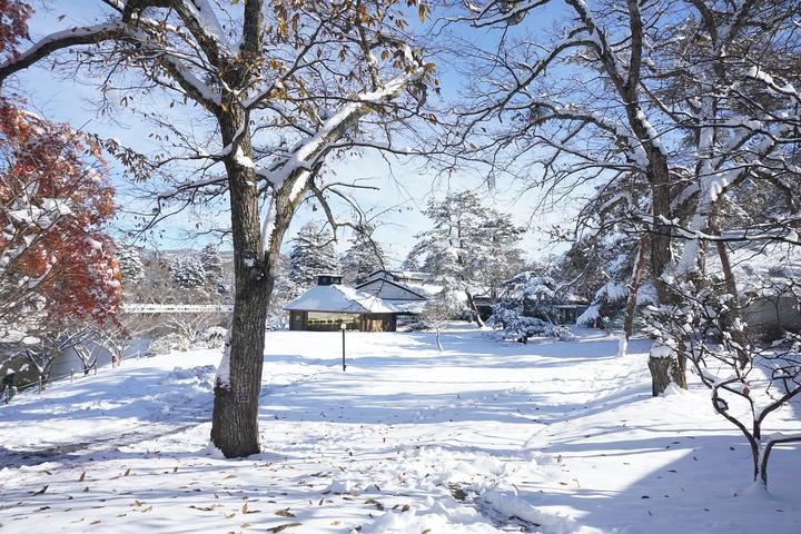 雪地越野at胎好还是雪地胎好5